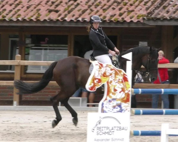 Reitturnier Alvern 2023