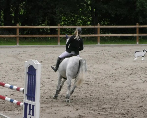 Reitturnier Alvern 2023