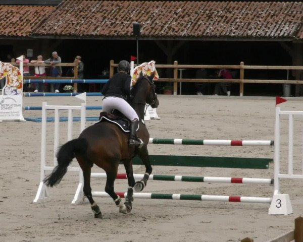 Reitturnier Alvern 2023