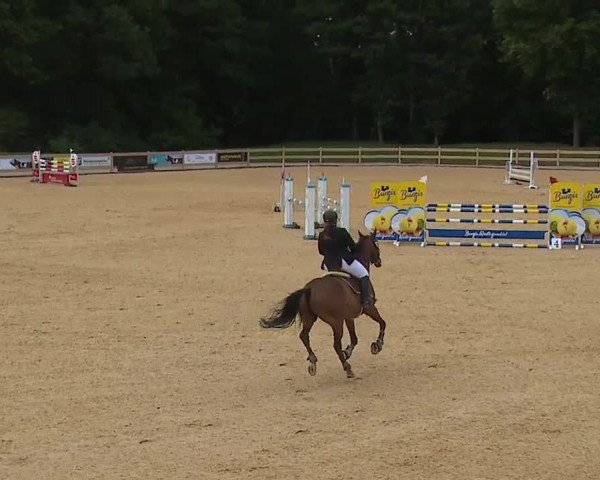 Reitturnier Tiefenhof 2023