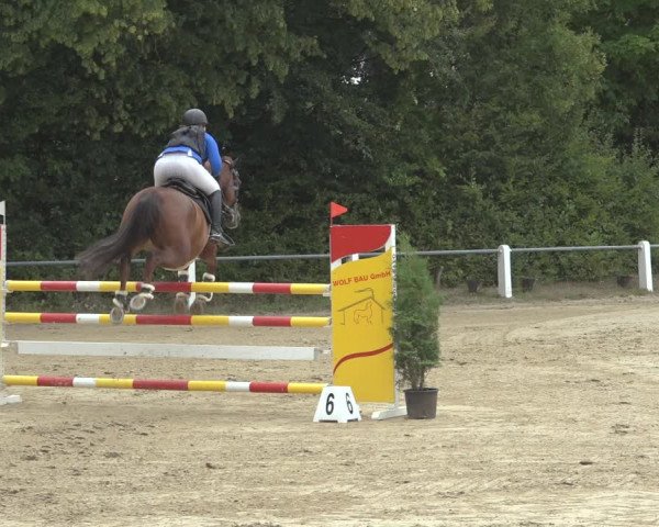 Reitturnier Niederzeuzheim 2023
