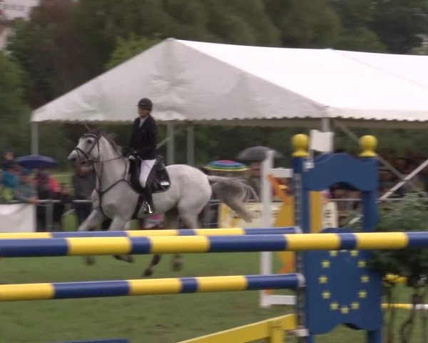 Reitturnier Bad Kissingen 2023