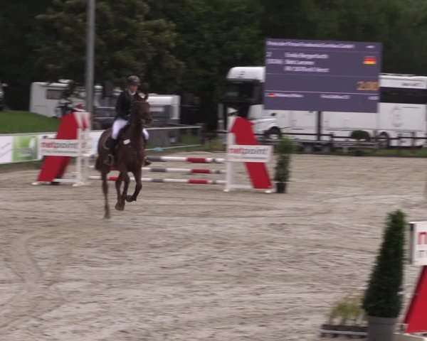 Reitturnier Nettetal-Lobberich 2023