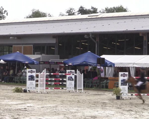 Reitturnier Nettetal-Lobberich 2023