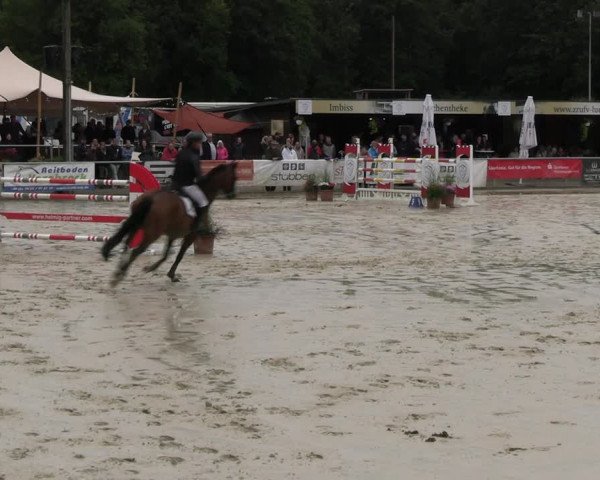 Reitturnier Olfen-Vinnum 2023