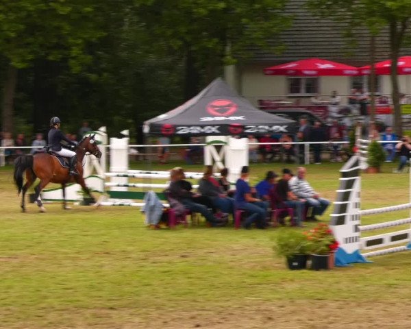 Reitturnier Zobbenitz 2023