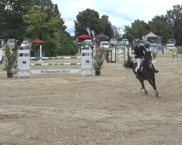 Reitturnier Niederzeuzheim 2023