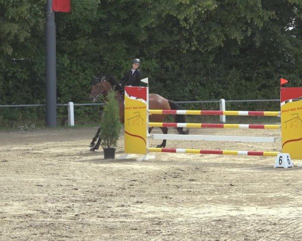 Reitturnier Niederzeuzheim 2023