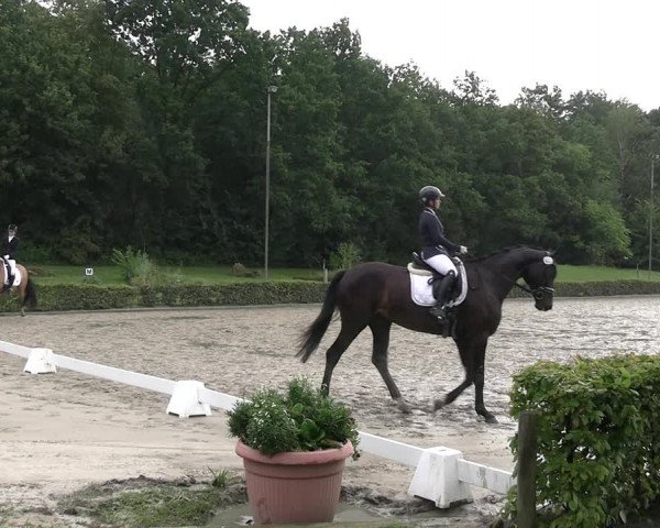 Reitturnier Olfen-Vinnum 2023