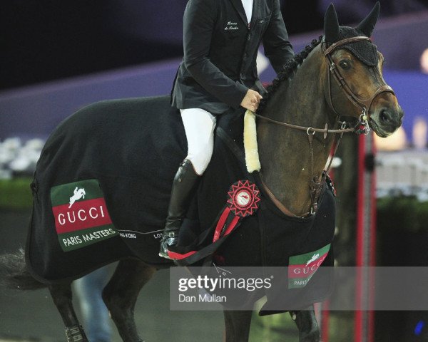 Deckhengst Qantar des Etisses (Selle Français, 2004, von Quick Star)