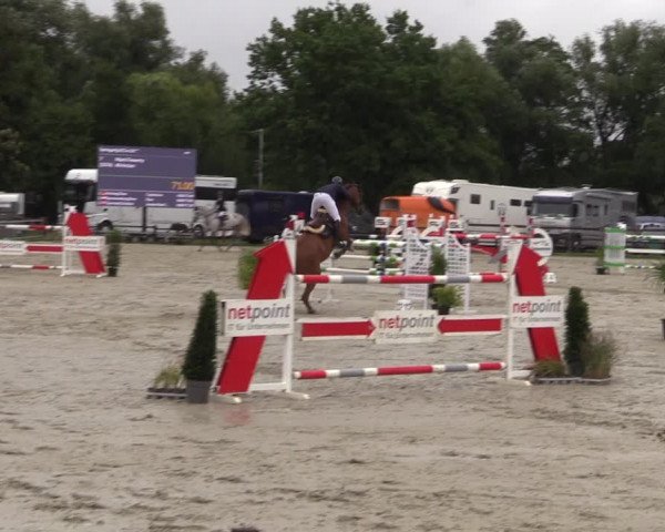 Reitturnier Nettetal-Lobberich 2023