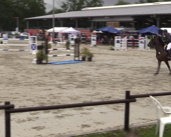 Reitturnier Nettetal-Lobberich 2023