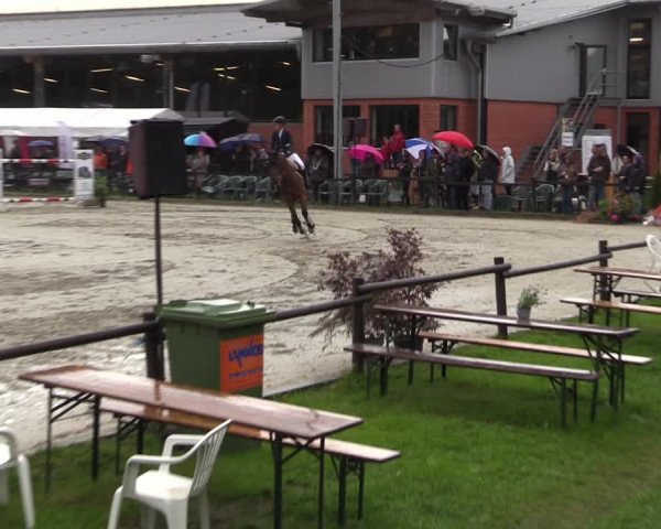 Reitturnier Nettetal-Lobberich 2023