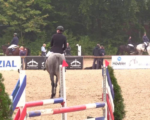 Reitturnier Albersdorf Dithmarsenpark 2021