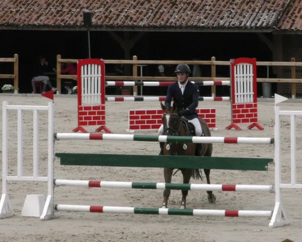 Reitturnier Alvern 2023