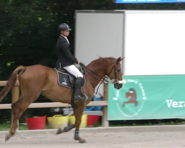 Reitturnier Alvern 2023