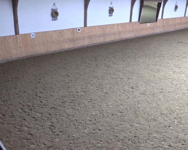 Reitturnier Olfen-Vinnum 2023