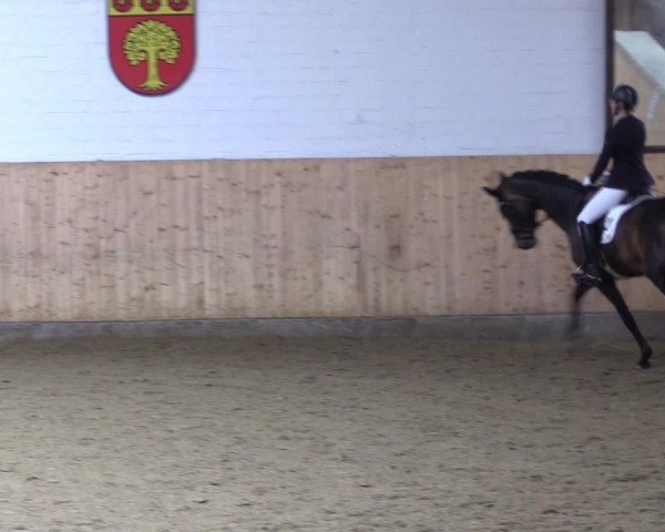 Reitturnier Olfen-Vinnum 2023