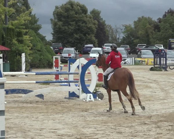 Reitturnier Niederzeuzheim 2023