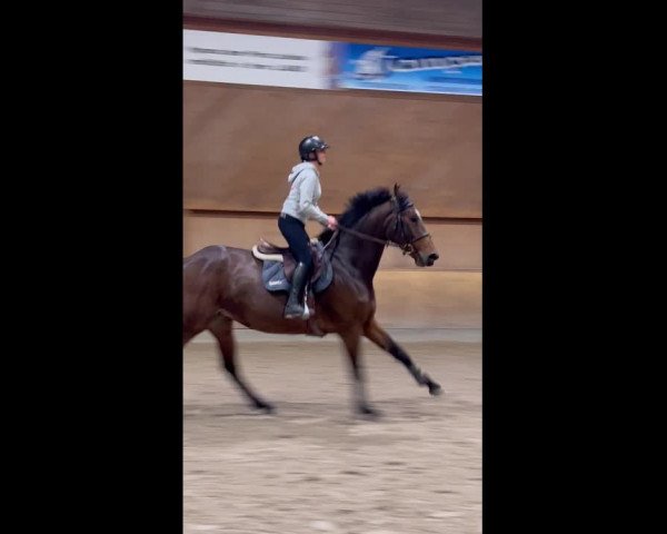Video of Kamelia du Grand Moustier