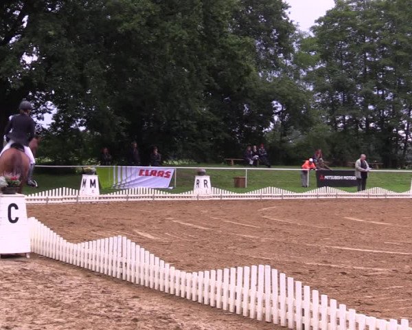 Reitturnier Zobbenitz 2023