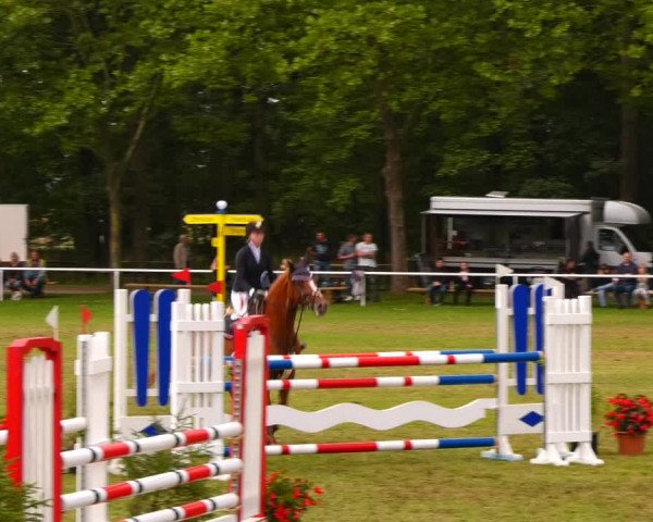 Reitturnier Zobbenitz 2023
