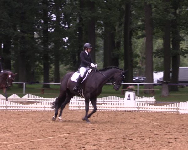 Reitturnier Zobbenitz 2023