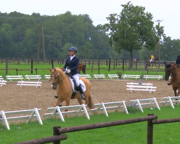 Reitturnier Nettetal-Lobberich 2023