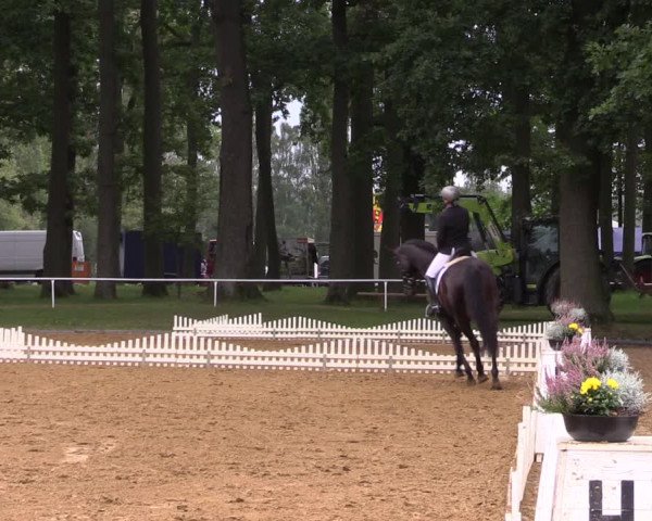 Reitturnier Zobbenitz 2023
