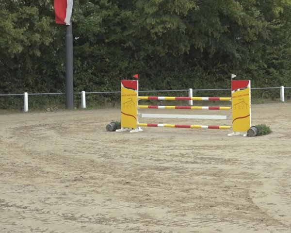 Reitturnier Niederzeuzheim 2023