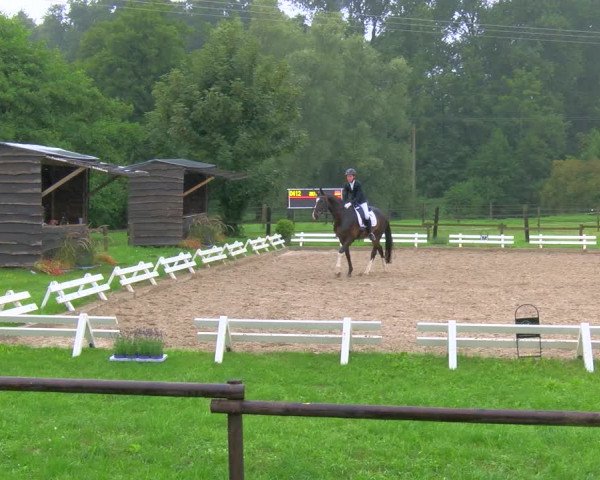 Reitturnier Nettetal-Lobberich 2023
