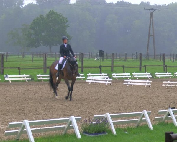 Reitturnier Nettetal-Lobberich 2023
