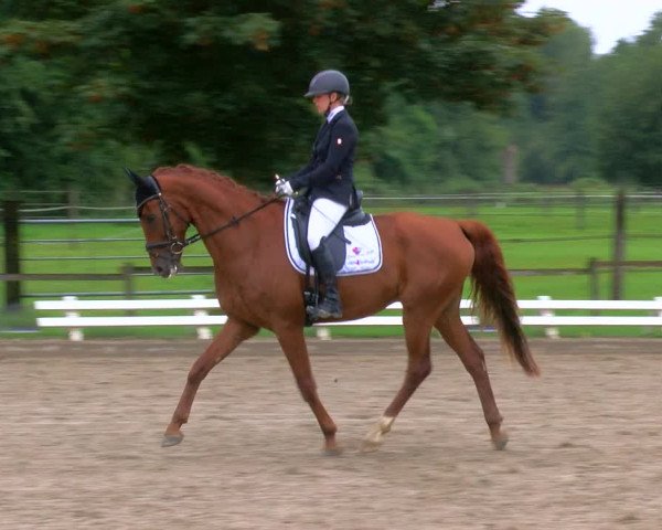 Reitturnier Nettetal-Lobberich 2023