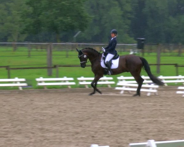 Reitturnier Nettetal-Lobberich 2023