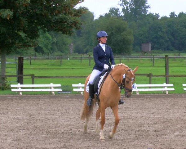 Reitturnier Nettetal-Lobberich 2023