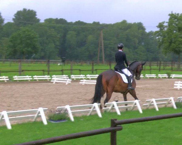 Reitturnier Nettetal-Lobberich 2023