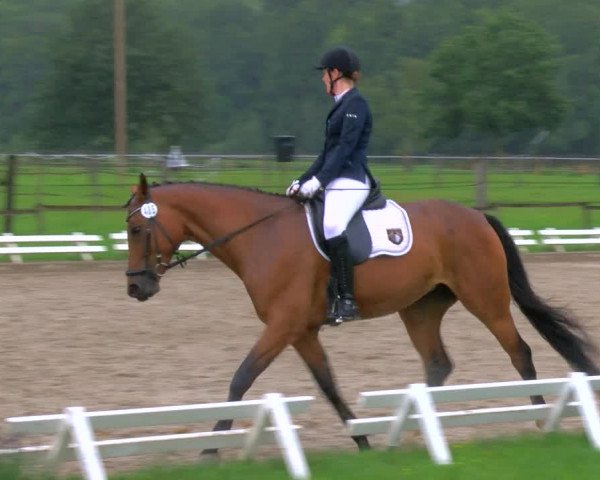Reitturnier Nettetal-Lobberich 2023