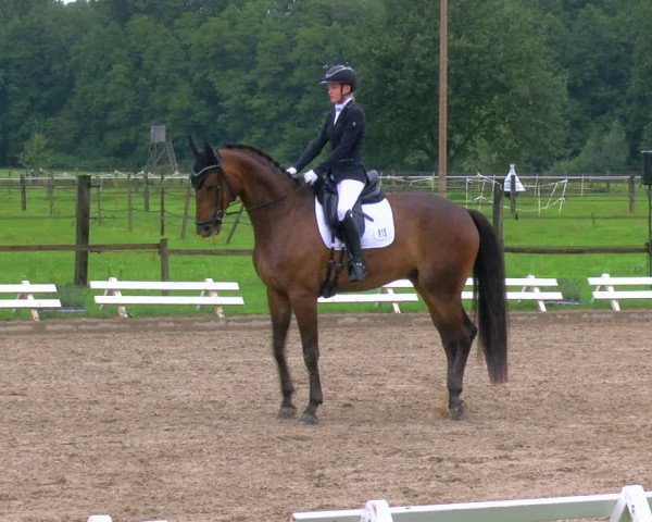 Reitturnier Nettetal-Lobberich 2023