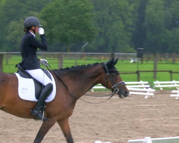 Reitturnier Nettetal-Lobberich 2023