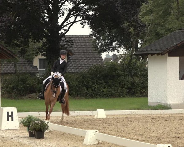 Reitturnier Niederzeuzheim 2023