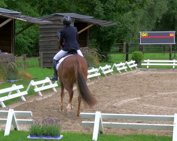 Reitturnier Nettetal-Lobberich 2023