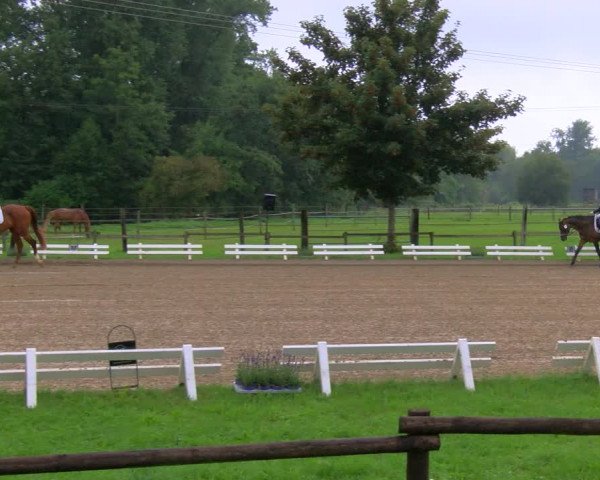 Reitturnier Nettetal-Lobberich 2023
