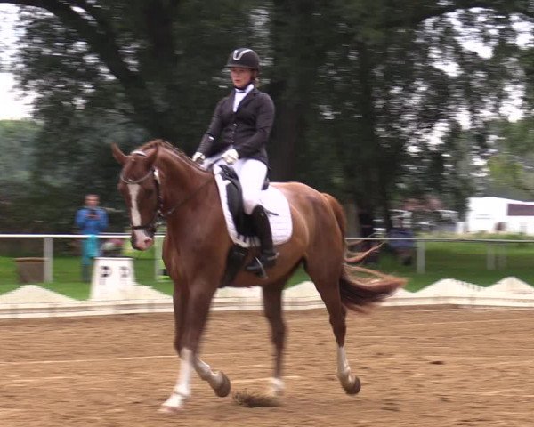 Reitturnier Zobbenitz 2023