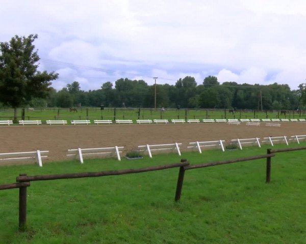 Reitturnier Nettetal-Lobberich 2023