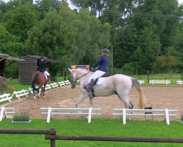 Reitturnier Nettetal-Lobberich 2023