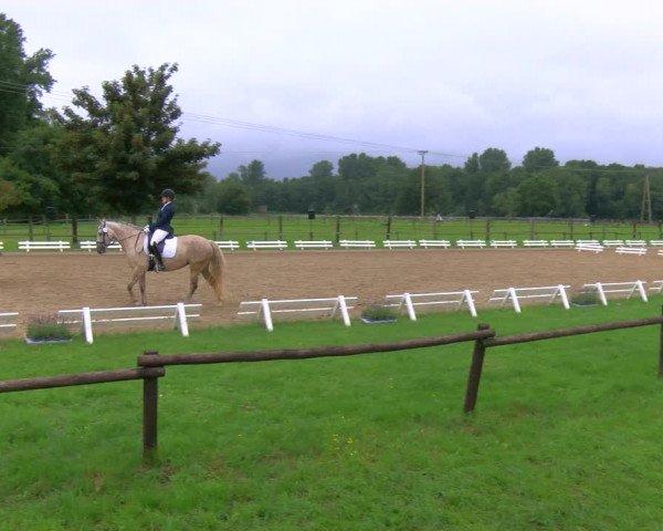 Reitturnier Nettetal-Lobberich 2023