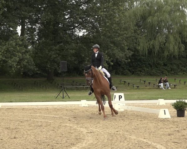 Reitturnier Niederzeuzheim 2023
