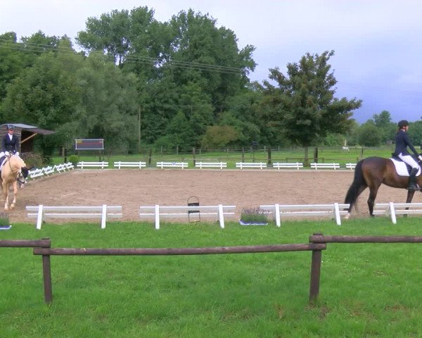 Reitturnier Nettetal-Lobberich 2023