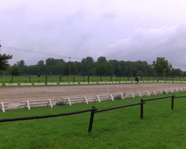 Reitturnier Nettetal-Lobberich 2023