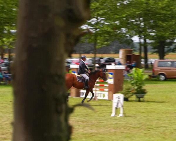 Reitturnier Zobbenitz 2023